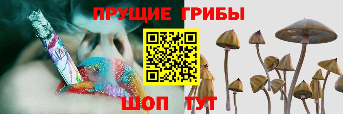 Галлюциногенные грибы мицелий  Галлюциногенные грибы MAGIC MUSHROOMS  Шадринск  Вход с VPN 